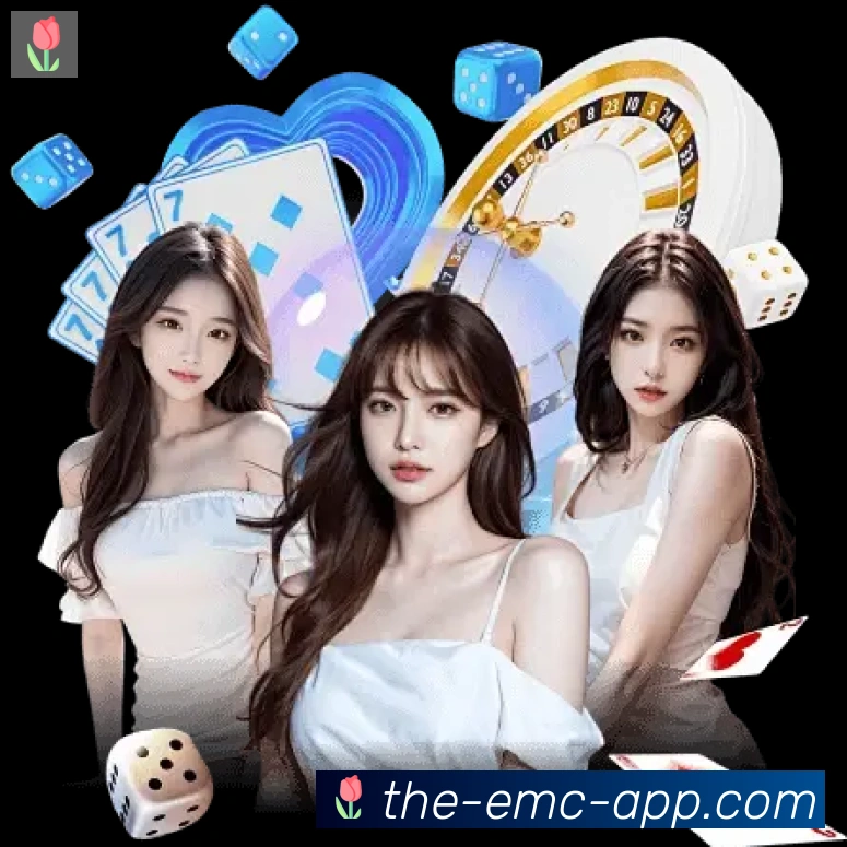 EMC易倍体育发展历程
